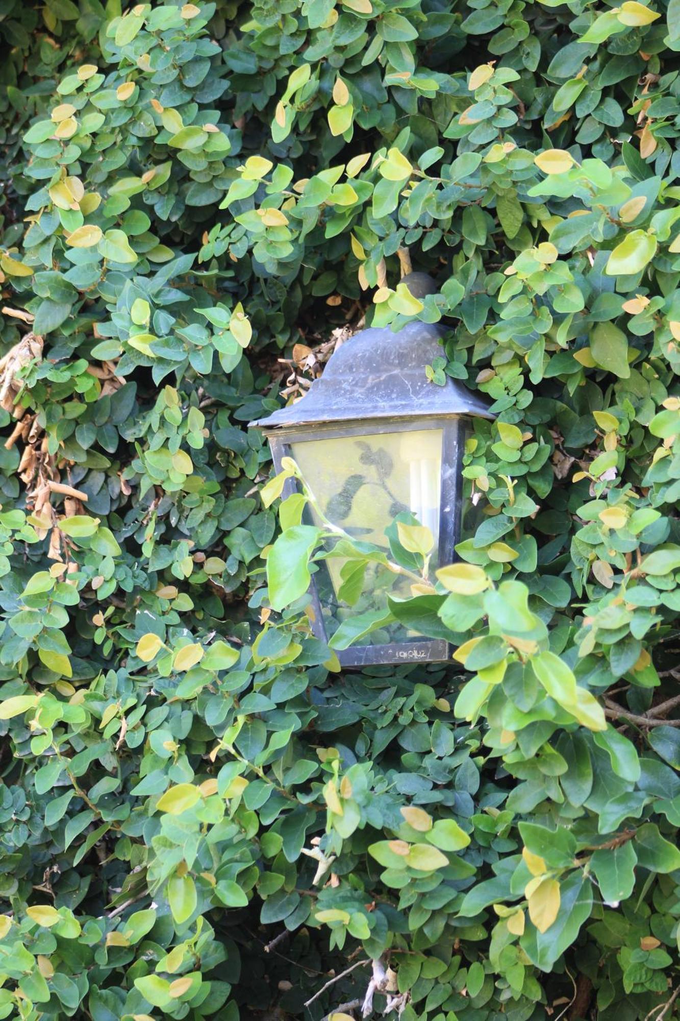 לה ריוחה Oasis I Las Moras Con Cochera Y Jardin מראה חיצוני תמונה